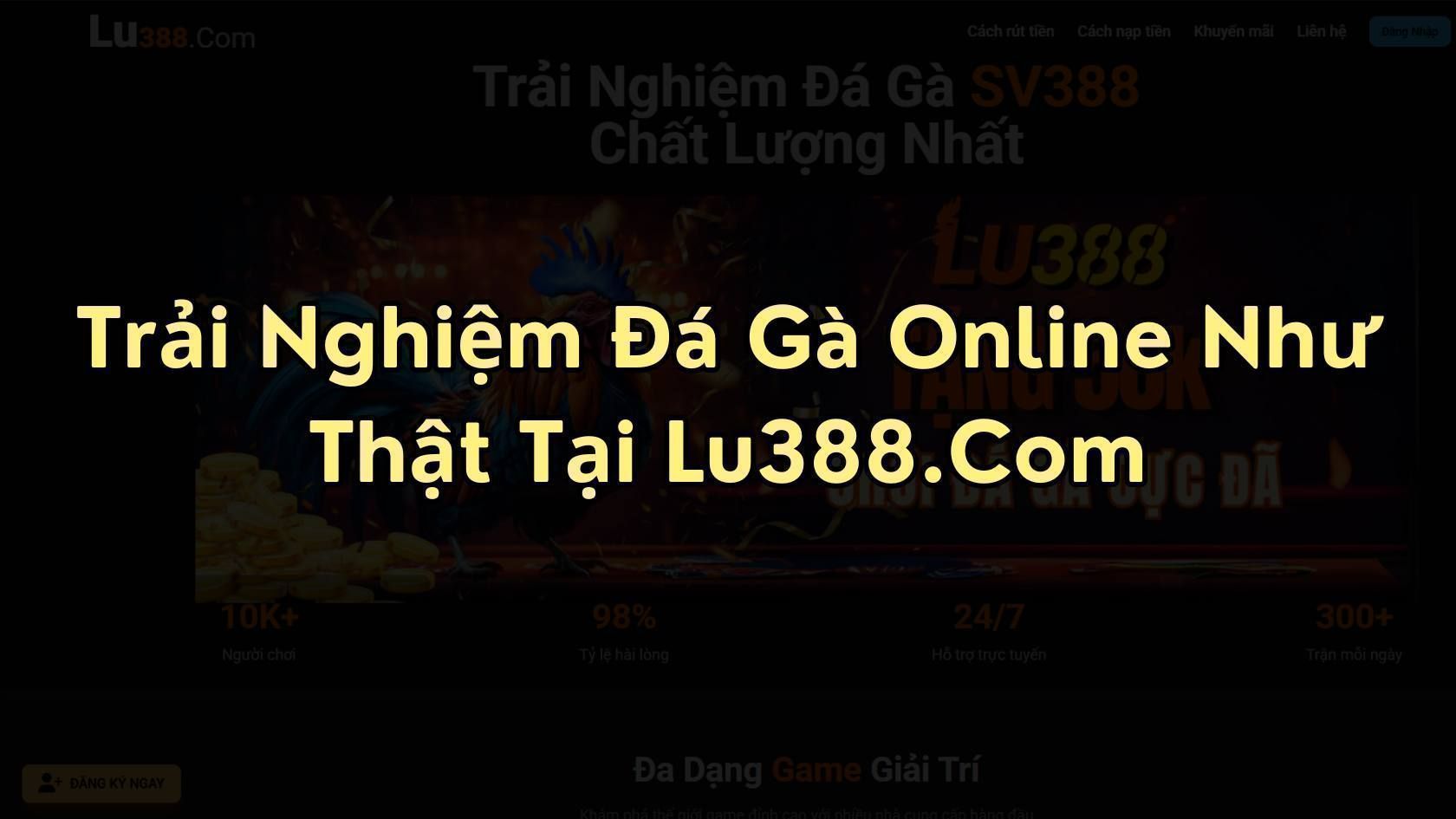 Trải Nghiệm Đá Gà Trực Tiếp Thomo Tại Lu388.Com