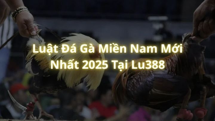 Luật Đá Gà Miền Nam Mới Nhất 2025 Tại Lu388