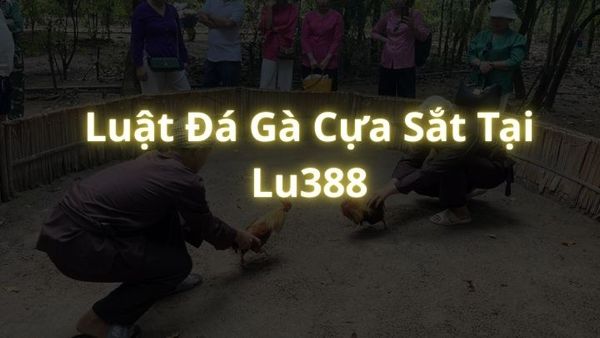 Luật Đá Gà Cựa Sắt Tại Lu388