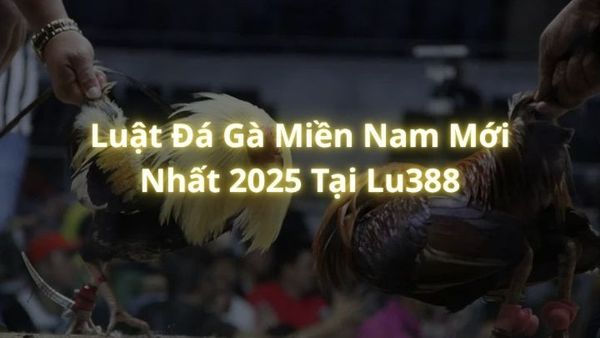 Luật Đá Gà Miền Nam Mới Nhất 2025 Tại Lu388