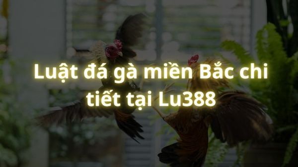 Luật đá gà miền Bắc chi tiết tại Lu388