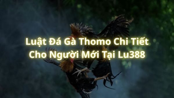 Luật Đá Gà Thomo Chi Tiết Cho Người Mới Tại Lu388